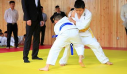 柔道视频,从视频中汲取的力量与智慧